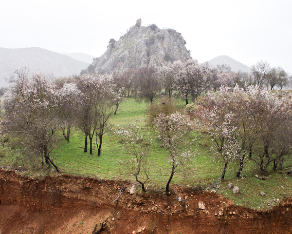 Babis Kougemitros front page picture, landscape in Greece